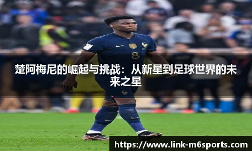 米乐m6官网